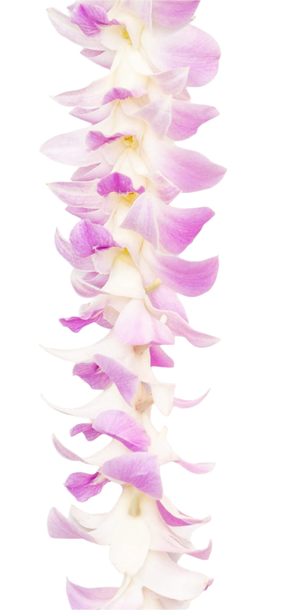 Close-up of a lei featuring soft pink blossoms strung in a delicate single-style design, highlighting the gentle texture and color.