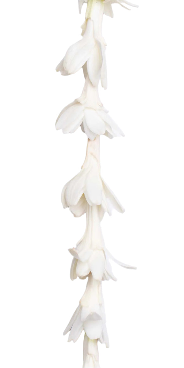 A close-up of a lei made of delicate white tuberose flowers, ideal for weddings.
