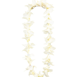 Single strand lei crafted with white orchid blossoms and plastic spacer crown flowers in between.