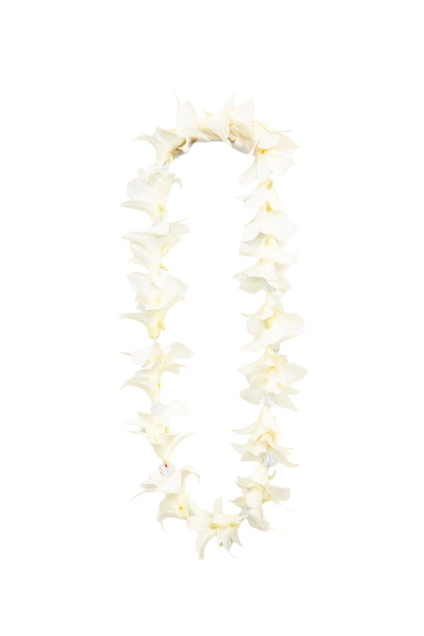 Single strand lei crafted with white orchid blossoms and plastic spacer crown flowers in between.
