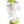 Close-up of a classic single-strand lei made of alternating  jade green and white orchids.