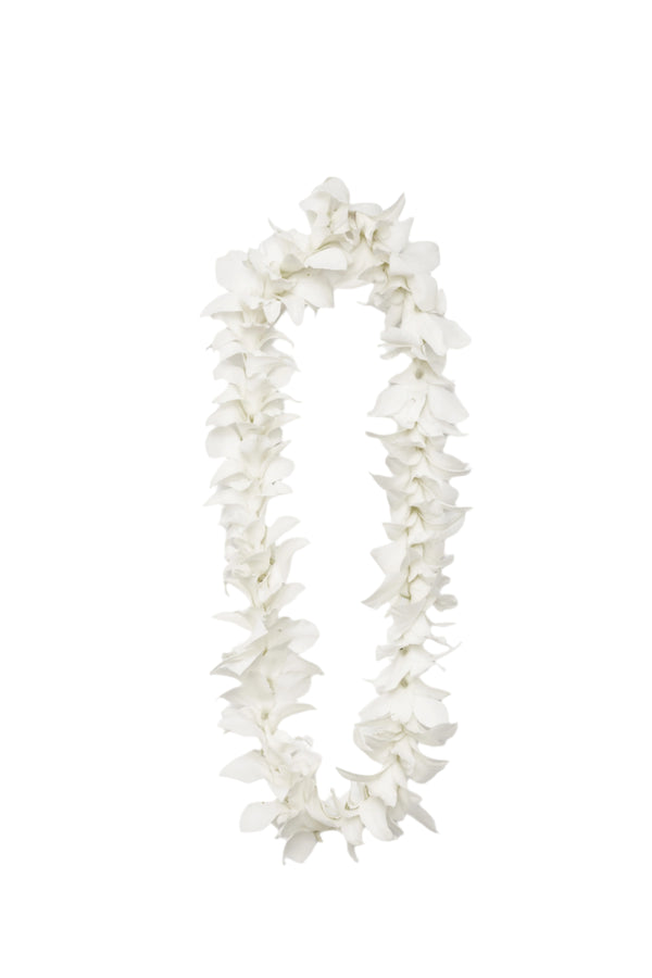 Classic single-strand lei made of all white orchids.