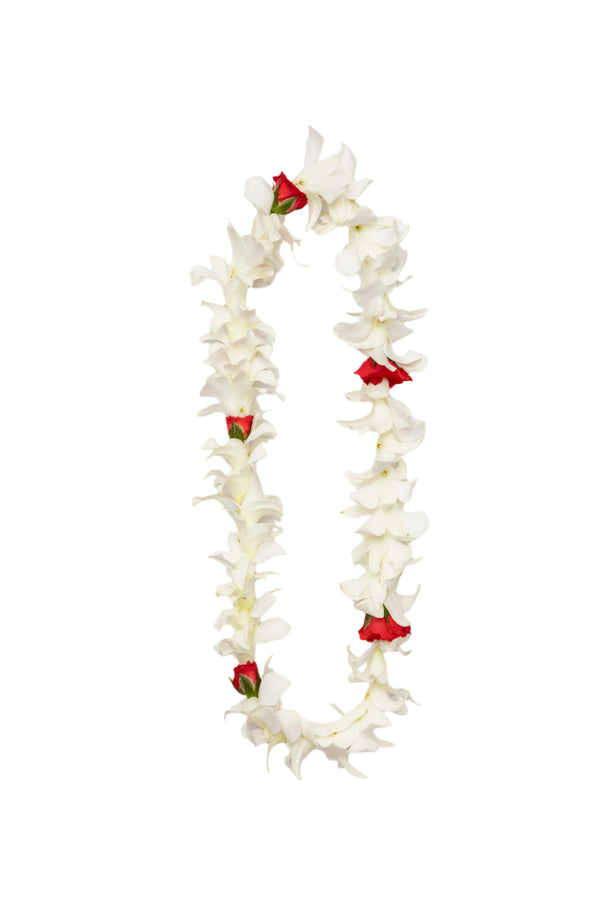 Classic single-strand lei made of white orchids and small red roses.