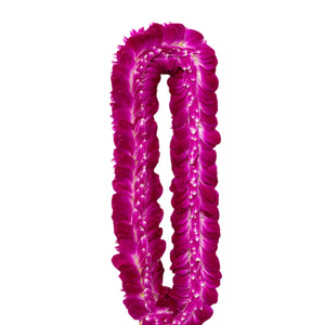 A flat and full lei made of layered purple orchid petals, creating a lush and vibrant look ideal for graduations. 