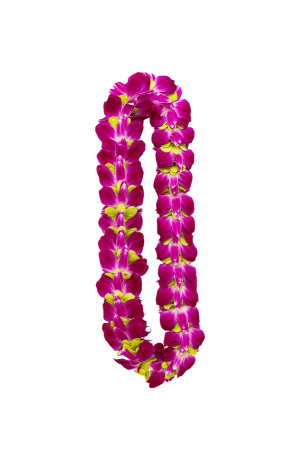 A flat and full lei made of layered purple and jade green orchid petals, creating a lush and vibrant look ideal for graduations.