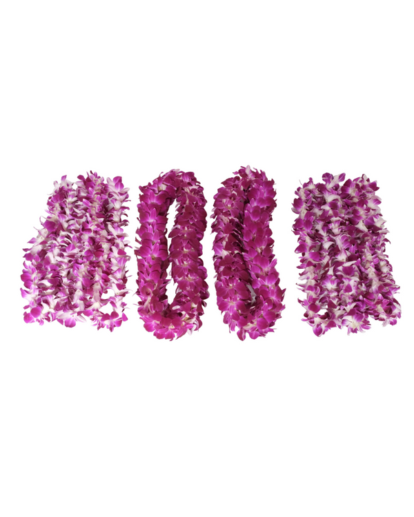 Hoʻomaikaʻi (Congratulations) Collection