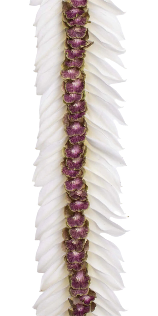 Close-up of a flat deluxe lei showcasing jade orchid petals in the middle surrounded by white orchid petals on the outside, highlighting the detailed pattern and texture.
