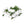 White orchid and green fern head lei displayed on a white background.