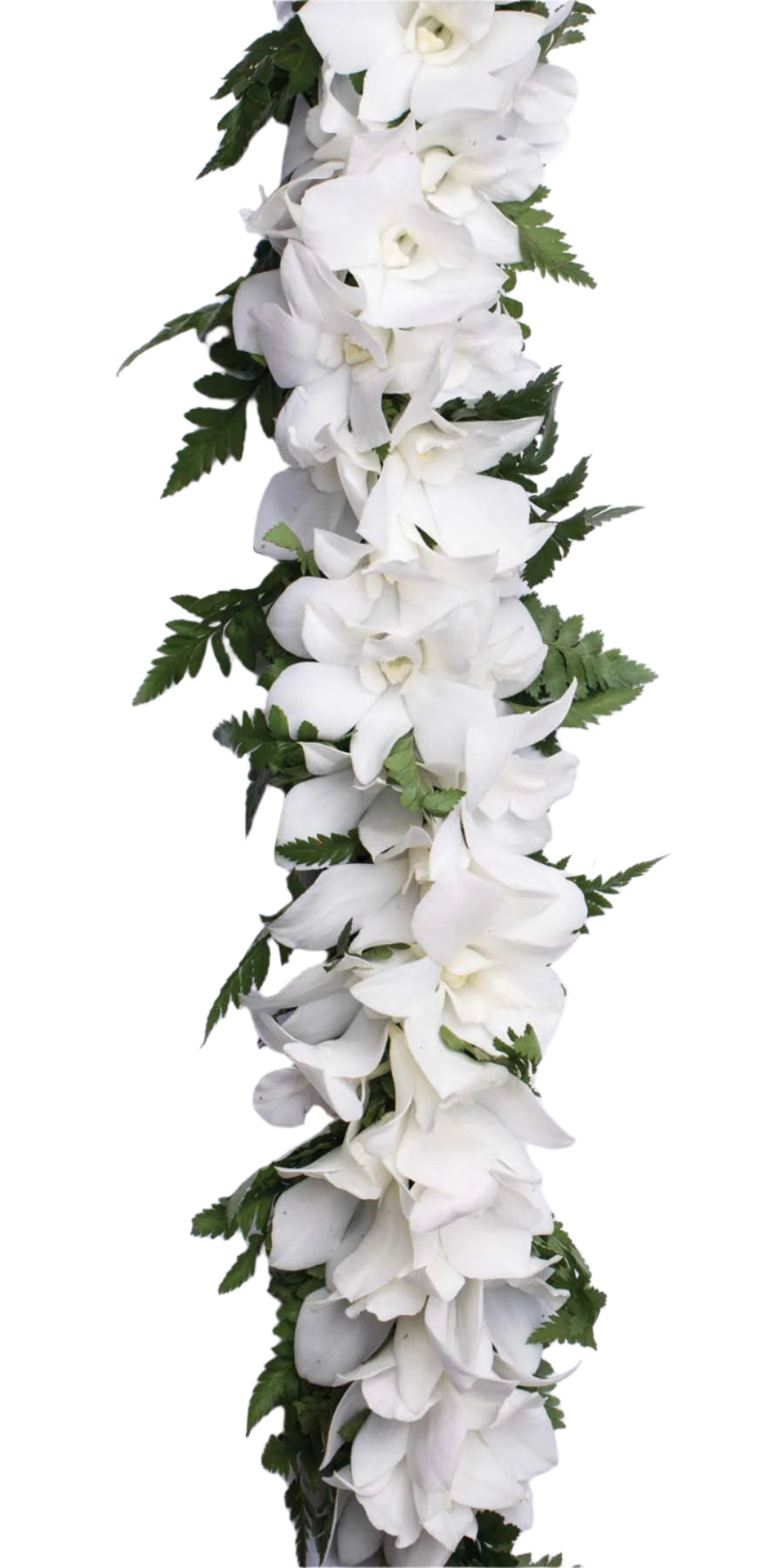 white lily flower crown White Lei Po'o (Haku/Flower Crown)| Traditional Head Lei