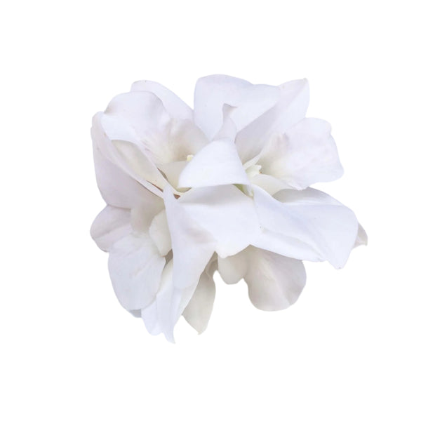 3 white orchid blossoms sewn together  displayed on a white background.