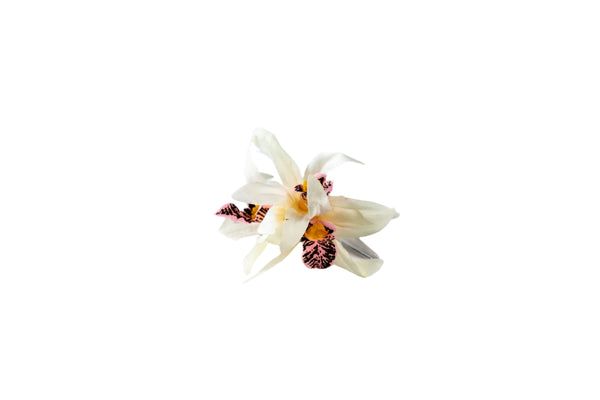 Hair clip featuring three faux white orchids with pink centers.
