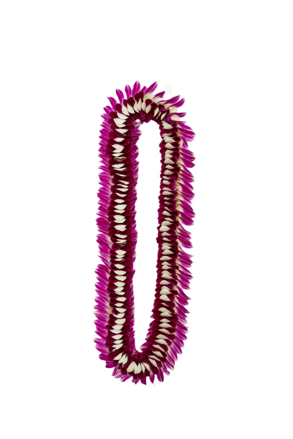 A flat deluxe lei featuring purple orchid petals flared at the edges with dark purple and white accents in the center, displayed on a white background.