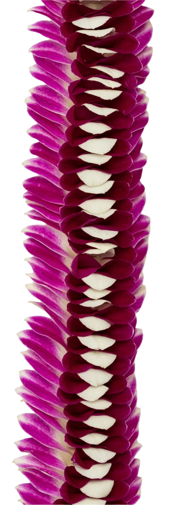 Close-up of a flat deluxe orchid lei showing the flared purple petals with dark purple and white accents intricately layered in the middle.