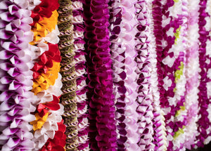 An entire wall covered with premium orchid spiral leis in various colors and styles, creating a vibrant and diverse floral display.